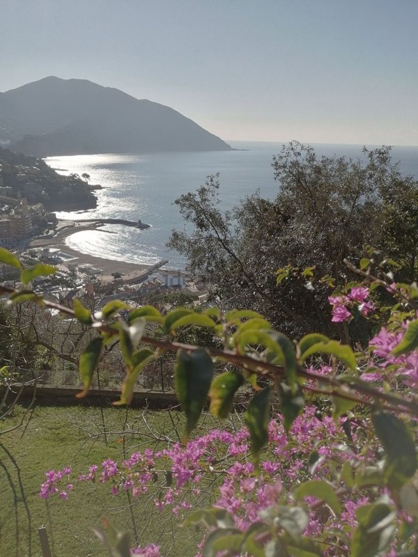 casa indipendente in vendita a Recco