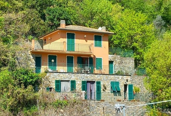 esavano in vendita a Recco