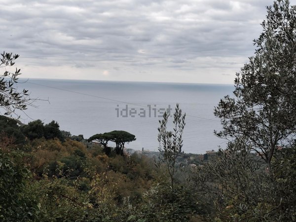 casa indipendente in vendita a Recco