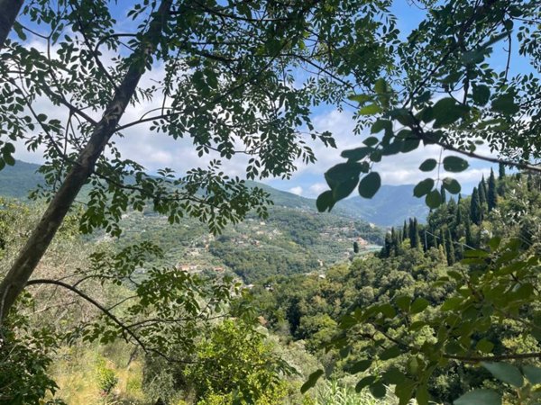terreno agricolo in vendita a Recco in zona Megli