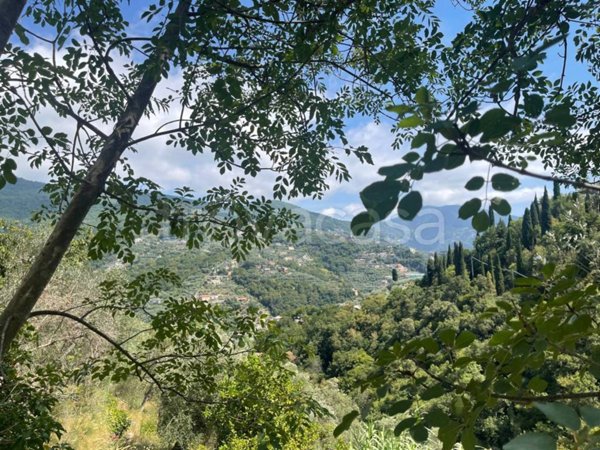 terreno agricolo in vendita a Recco in zona Megli