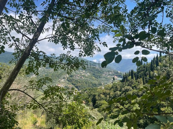 terreno agricolo in vendita a Recco in zona Megli