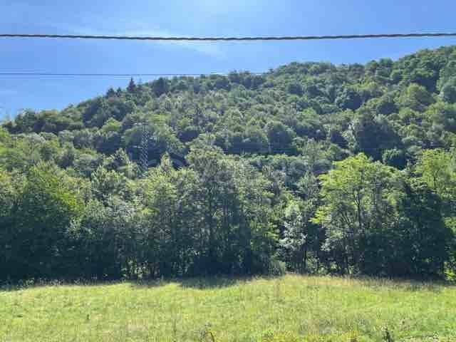 terreno agricolo in vendita a Rezzoaglio in zona Cabanne