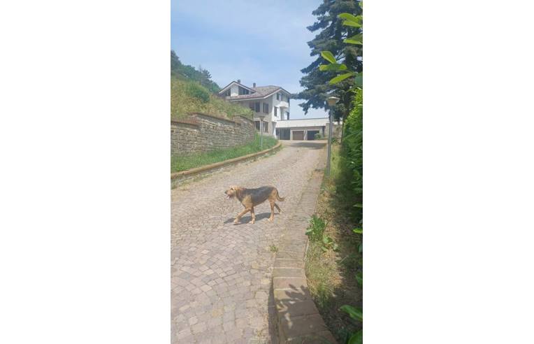 casa indipendente in vendita a Rossiglione