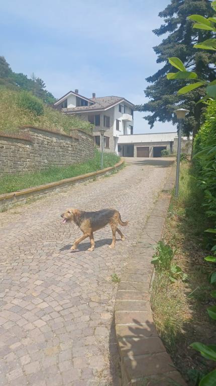 casa indipendente in vendita a Rossiglione