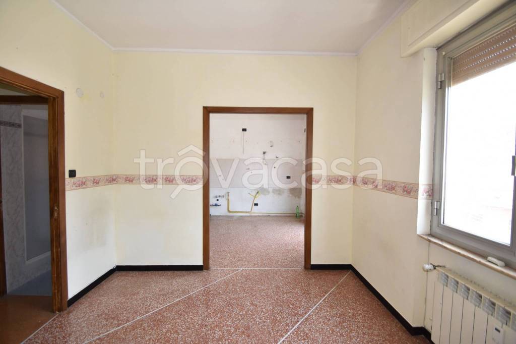immagine annuncio 0 di 15
