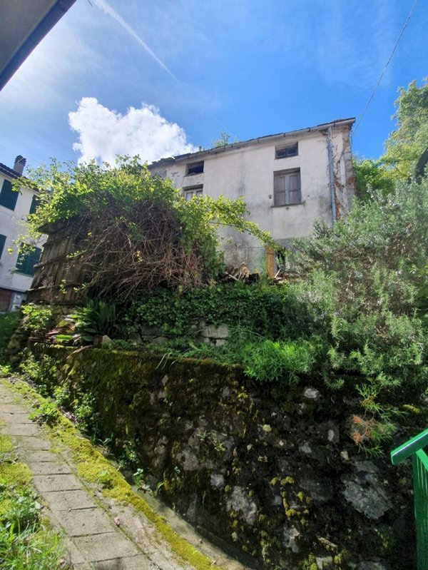 esavano in vendita a Rovegno in zona Casanova