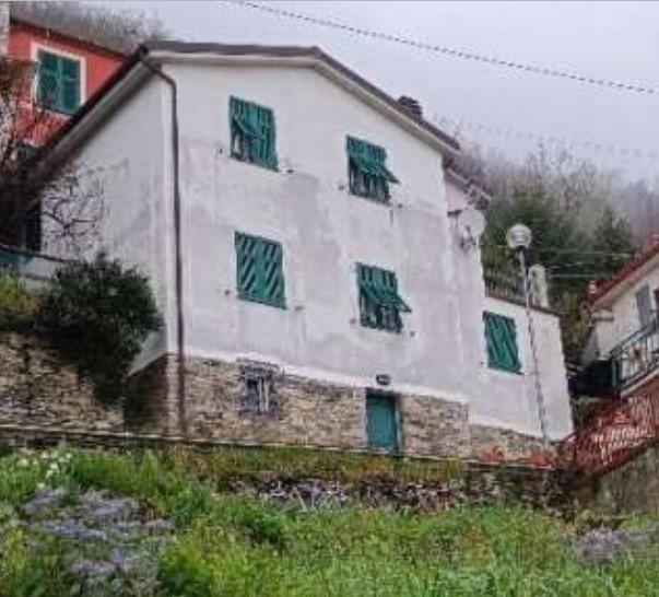 casa indipendente in vendita a San Colombano Certenoli