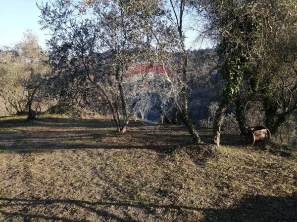 casa indipendente in vendita a San Colombano Certenoli in zona Camposasco
