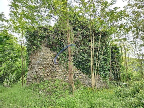 casa indipendente in vendita a San Colombano Certenoli