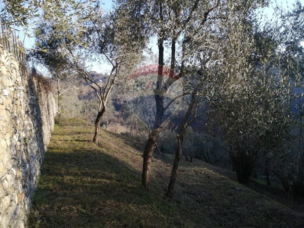 casa indipendente in vendita a San Colombano Certenoli in zona Camposasco