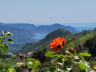 casa indipendente in vendita a San Colombano Certenoli