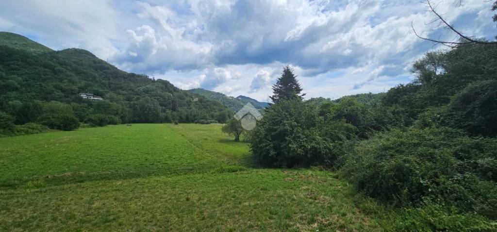 terreno agricolo in vendita a San Colombano Certenoli in zona Calvari