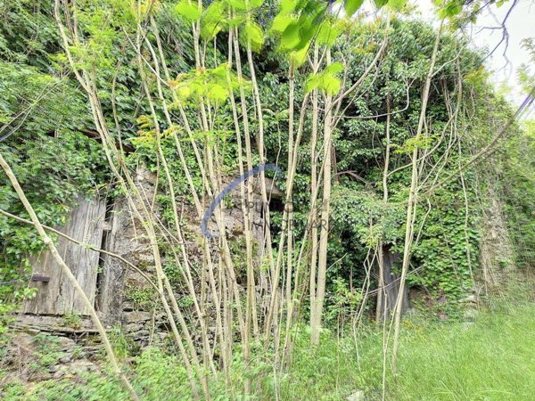casale in vendita a San Colombano Certenoli
