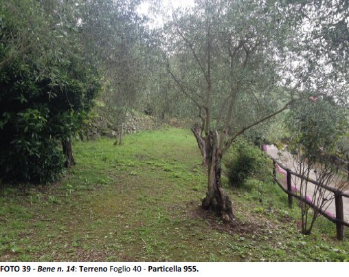 appartamento in vendita a San Colombano Certenoli in zona San Colombano