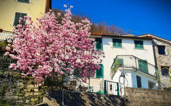 appartamento in vendita a San Colombano Certenoli