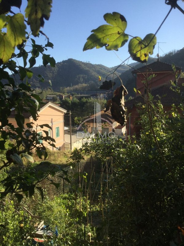 esavano in vendita a San Colombano Certenoli