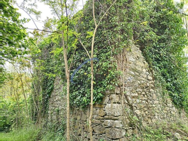 casa indipendente in vendita a San Colombano Certenoli