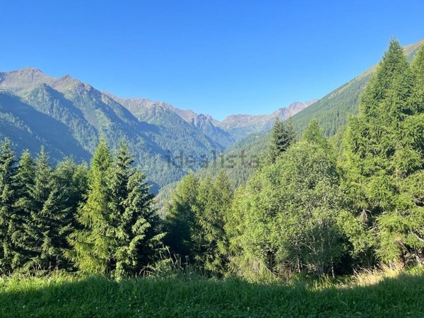 casa indipendente in vendita a San Colombano Certenoli in zona Cichero