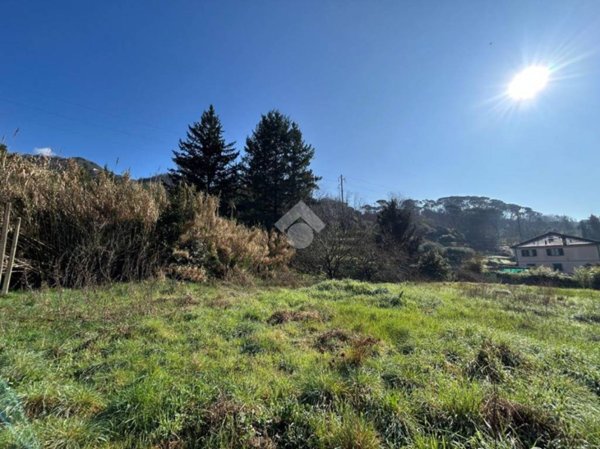 terreno agricolo in vendita a San Colombano Certenoli in zona San Colombano