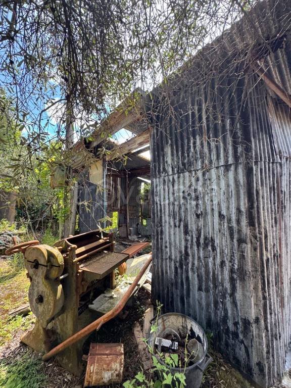 terreno agricolo in vendita a San Colombano Certenoli in zona San Colombano