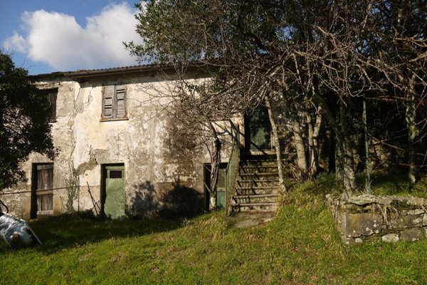 esavano in vendita a San Colombano Certenoli