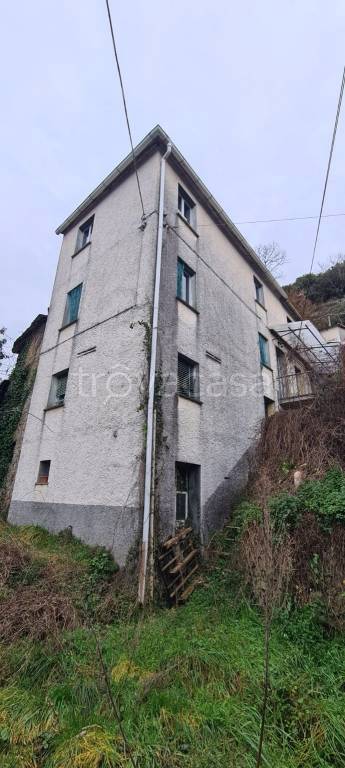 attico in vendita a San Colombano Certenoli in zona San Colombano