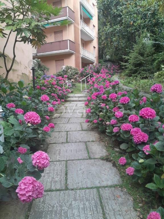 appartamento in vendita a Santa Margherita Ligure