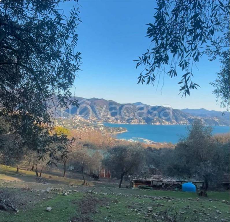 casa semindipendente in vendita a Santa Margherita Ligure in zona Nozarego
