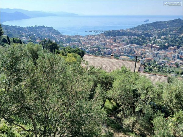 terreno agricolo a Santa Margherita Ligure in zona San Lorenzo della Costa