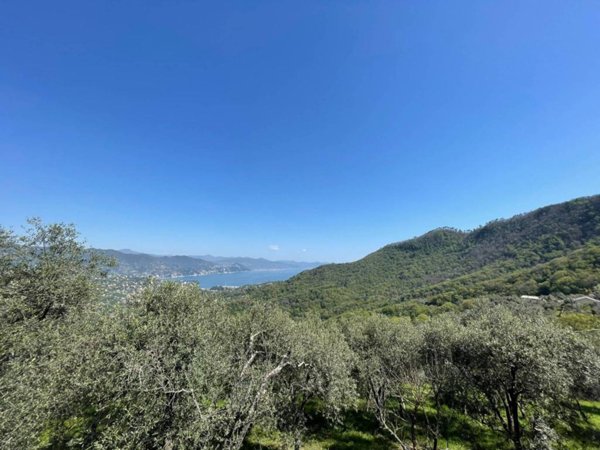 casa indipendente in vendita a Santa Margherita Ligure