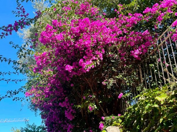 appartamento a Santa Margherita Ligure in zona San Lorenzo della Costa