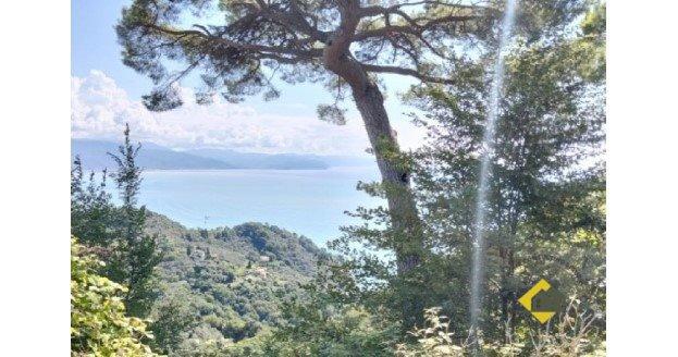 appartamento in vendita a Santa Margherita Ligure
