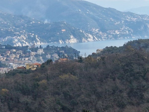 casa indipendente a Santa Margherita Ligure in zona San Lorenzo della Costa
