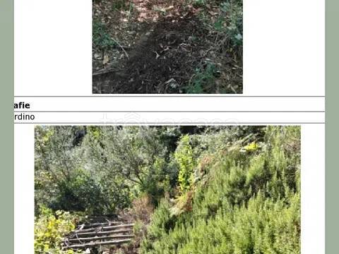 appartamento in vendita a Santa Margherita Ligure