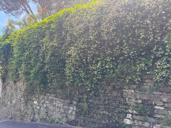 appartamento in vendita a Santa Margherita Ligure