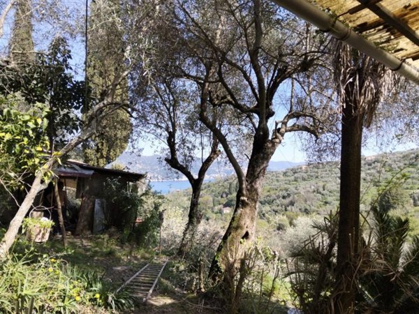 casa indipendente in vendita a Santa Margherita Ligure