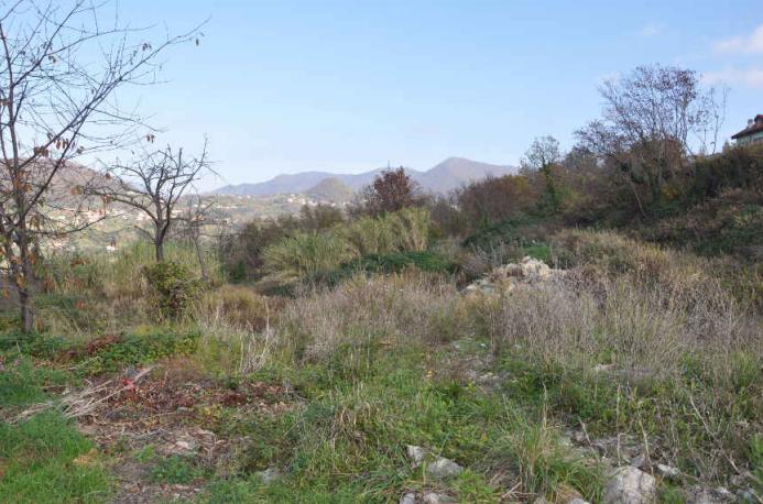 terreno agricolo in vendita a Sant'Olcese in zona Torrazza