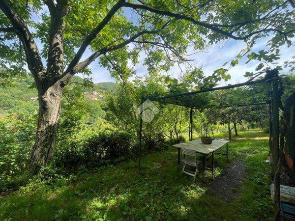 terreno agricolo in vendita a Sant'Olcese in zona Piccarello