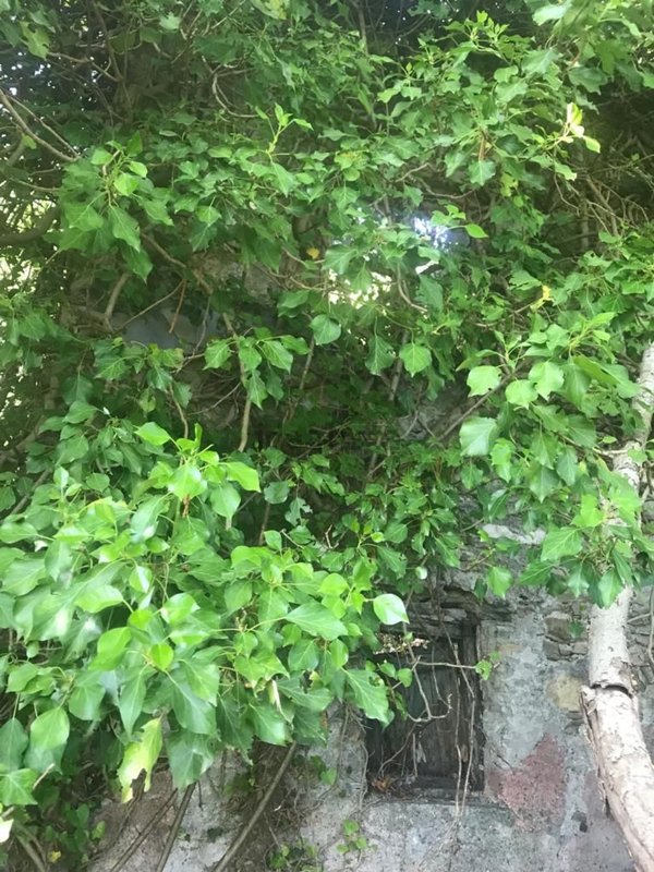 appartamento in vendita a Sant'Olcese