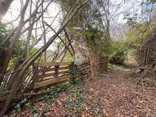 terreno agricolo in vendita a Sant'Olcese