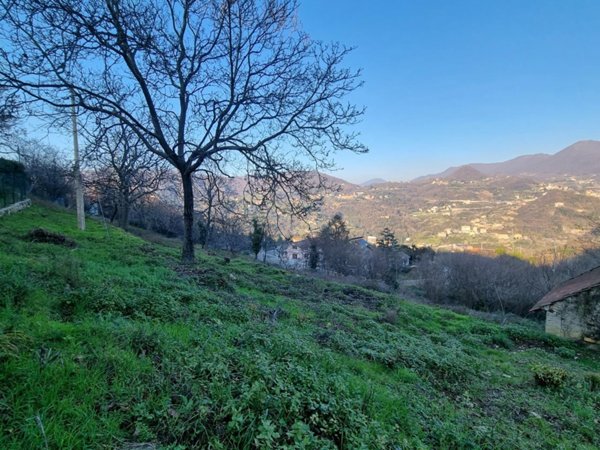 esavano in vendita a Sant'Olcese in zona Torrazza