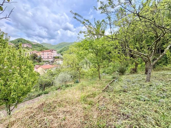terreno agricolo in vendita a Sant'Olcese in zona Piccarello