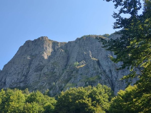 negozio in vendita a Santo Stefano d'Aveto