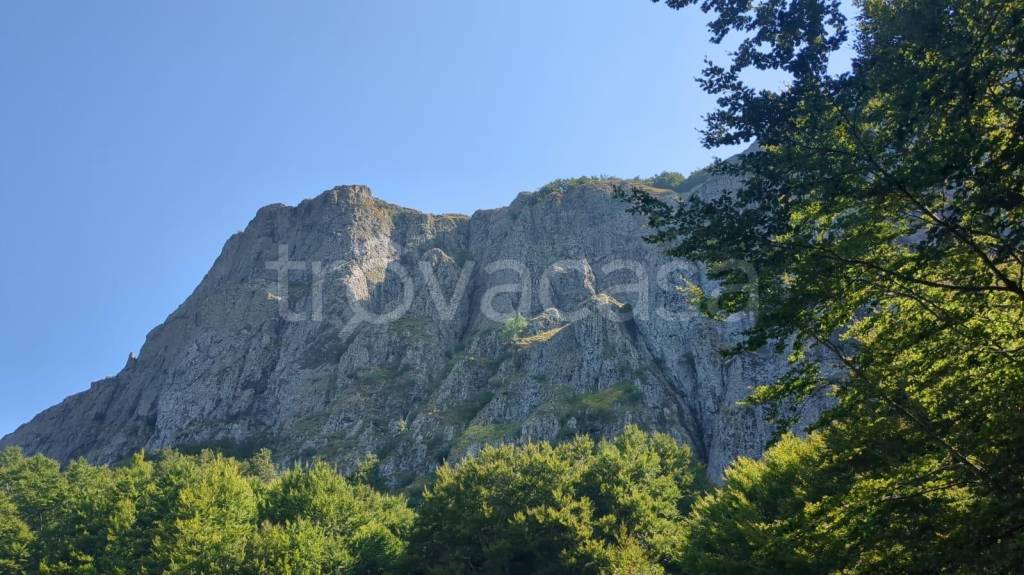 negozio in vendita a Santo Stefano d'Aveto