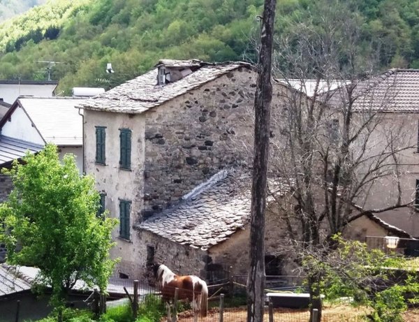 esavano in vendita a Santo Stefano d'Aveto in zona Amborzasco