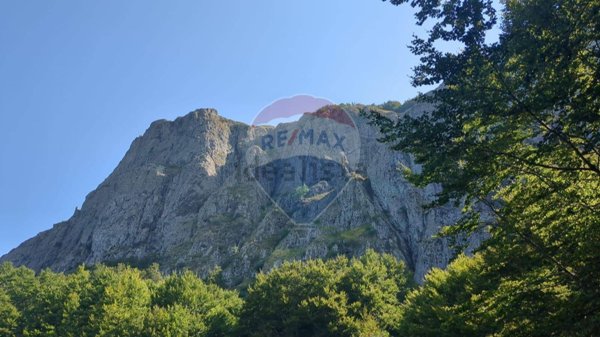 negozio in vendita a Santo Stefano d'Aveto