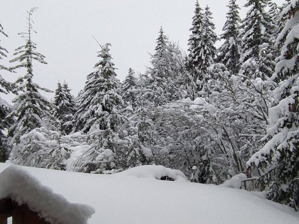 appartamento in vendita a Santo Stefano d'Aveto in zona Rocca d'Aveto