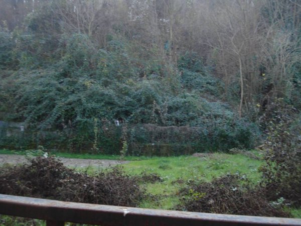 casa semindipendente in vendita a Savignone in zona Isorelle