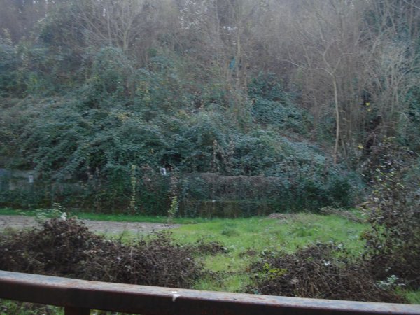 casa semindipendente in vendita a Savignone in zona Isorelle